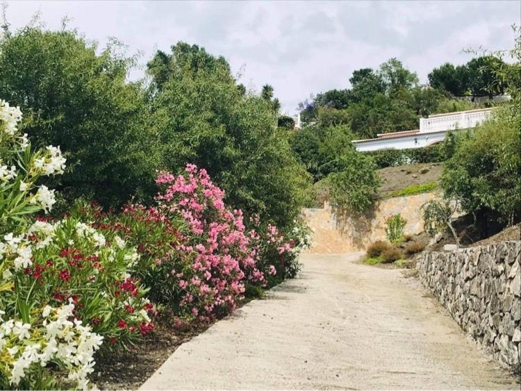 Casa Los Almendros Canillas de Albaida ภายนอก รูปภาพ